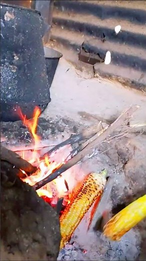 When Was the Last Time You Enjoyed Roasting Maize? 🌽🔥 #Shorts