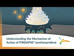 Understanding the Mechanism of Action of FIRDAPSE®