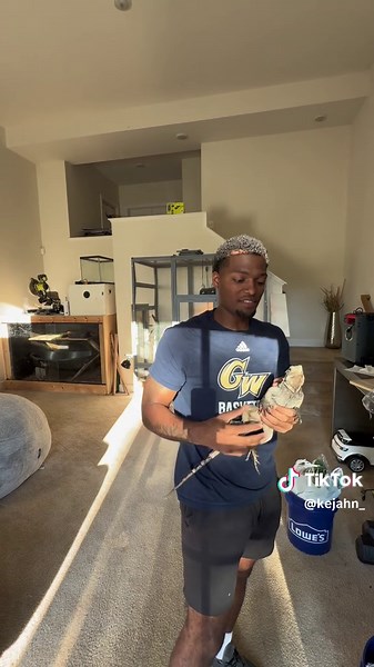 How to Safely Remove Stuck Shed from a Bearded Dragon