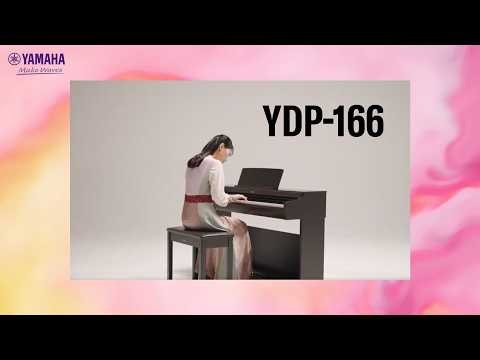 Yamaha YDP-166 ARIUS Overview & Demo (Liebesträume)