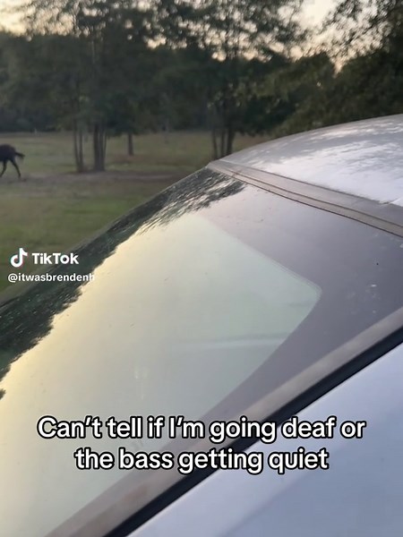 Understanding Sound Perception and Bass Levels