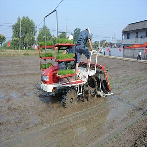 [Hot Item] Automatic China Fertilizer Applicator Rice Manual Seeder for Sowing