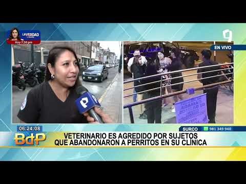 ¡Rescatando perritos! Historia de solidaridad en Surco 🐶💕 (1/2)