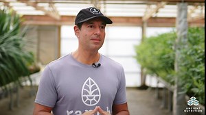 Ancient Nutrition Vegetarian Collagen Peptides, Collagen Peptides Tablets, Collagen with Prebiotics and Probiotics, Supports Healthy Skin, Hair, Joints, Digestion, Vegetarian Capsules, 30 Count