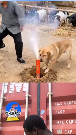 Is about to go down FB Creator Support New Kiss | New Kiss