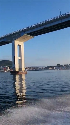 “사량도 앞바다 문어잡(Octopus Jackpot!)” #도다리 #감성돔 #돌돔 #쥐치 #잡어 #참돔 #오징어 #문어 #Fishing