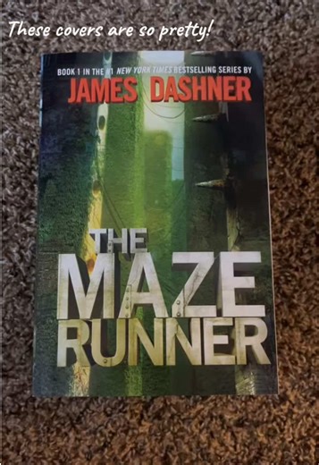 Exploring The Maze Runner: Unraveling the Details