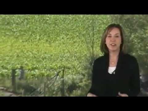 Welcome to Ohio's Amish Country