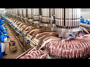 These Amazing Machines Will Leave You Speechless