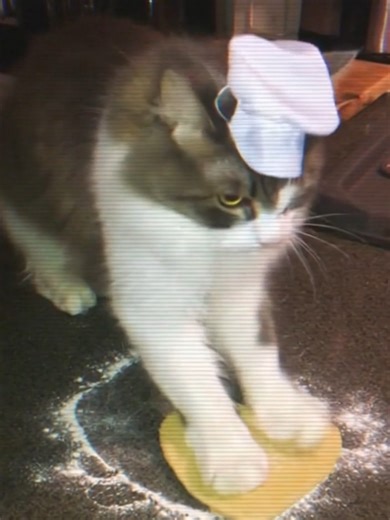 Tutorial de Repostería con Gatos Traviesos