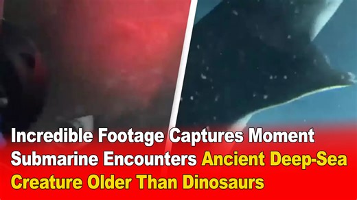 Incredible Footage Captures Moment Submarine Encounters Ancient Deep-Sea Creature Older Than Dinosaurs