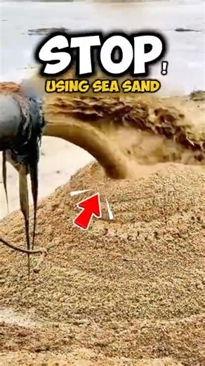 Why Using Sea Sand in Concrete Could Destroy Your Building: #construction #concrete