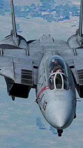 7.5K views · 609 reactions | Grumman F-14 Tomcat_ El ícono de Top Gun  #DCS #Military #Aviation | Nicolas Gudino | Facebook