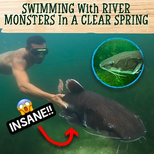 Bagoi, The Baby Owl That Talks A Lot | Blake's Exotic Animal Ranch