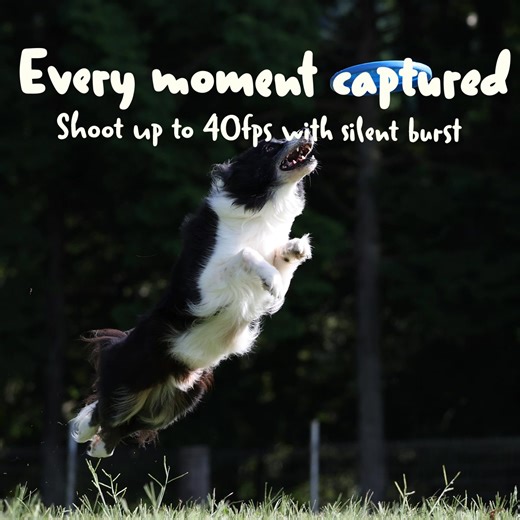 Blazing Speed Burst | Canon Singapore | Facebook