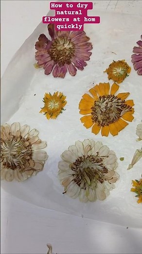 how to dry natural flowers 💐 at home quickly#haza #diy #resinart #artinhome#flowertray