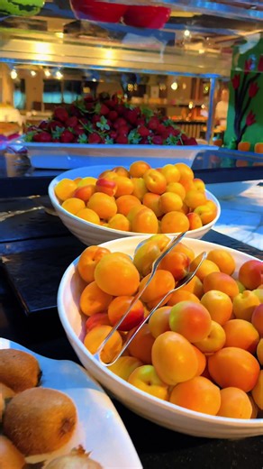 Дельфин Ботаник Платину: Рекомендации для Отпуска 2025