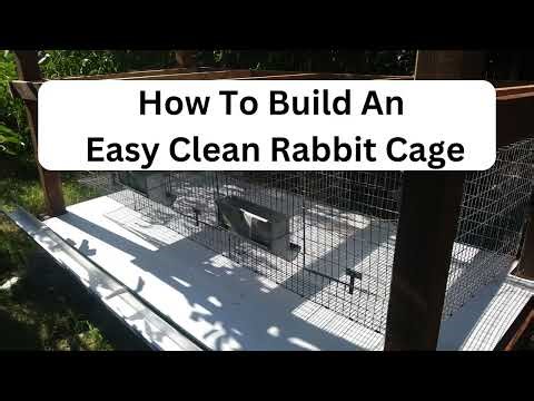 How To Build An Easy Clean Rabbit Cage