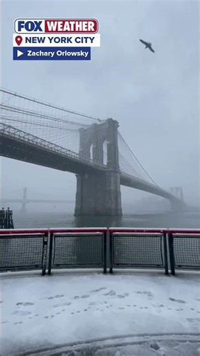 Parts Of New York City Have Been Hit By Strong Winter Weather Today