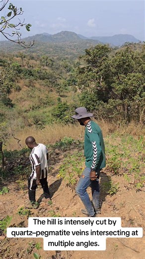 2.5K views · 82 reactions | The hill is intensely cut by quartz–pegmatite veins intersecting at multiple angles, hosted within muscovite–biotite gneiss ;a strong structural and lithological setting for pegmatite-related mineralization. #Pegmatite #QuartzVeins #Gneiss #Muscovite #Biotite #StructuralGeology #LithiumPegmatite #MineralExploration #FieldGeology #NCGideon | NC Gideon | Facebook