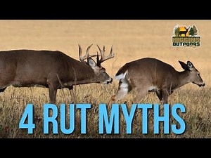 Debunking 4 Rut Myths