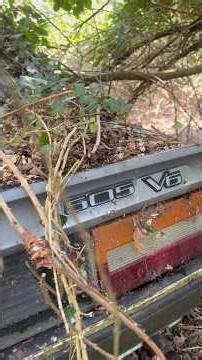 Rare Peugeot’s 505 V6
