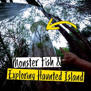 1.4M views · 11K reactions | Monster fishing on a haunted island | Cavy Fishing | Facebook