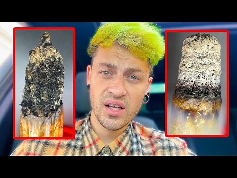 White Ash VS Black Ash.. Does it matter?