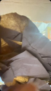 You asked, and we delivered! 🎉 Little Leapers time at Sky Zone Kitchener is now extended! Join us every Sunday from 9 AM - 11 AM for endless fun and active play, just for kids 6 and under. Note: No Little Leapers on Sunday, Dec. 29, due to Christmas break hours. Start your Sundays the Sky Zone way—fun, fitness, and family time! 🌟 #LittleLeapers #SkyZoneKitchener #HealthyFun #sundayfunday | SkyZone Kitchener