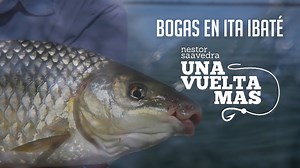 215K views · 4K reactions | La pesca de bogas anclado tiene muchos condimentos que la hacen atractiva: su técnica, la pelea de estos peces y, sobre todo, un lugar rodeado de exuberante naturaleza. Una Vuelta Más con Néstor Saavedra. El maestro de vuelta al ruedo. Imperdible! Posada El Refugio  Equipos TECH TACKLE Caña: Tech Tournament 210 Reel: Tech Tomahawk 100 Línea: Multifilamento Tech Spectrum 0,22 mm Anzuelo: Katashi Maruseigo Ring 16 | Naturaltube | Facebook