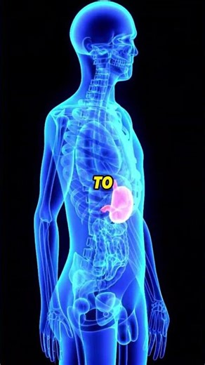 facts about food #health #nutrition #food #healthtips