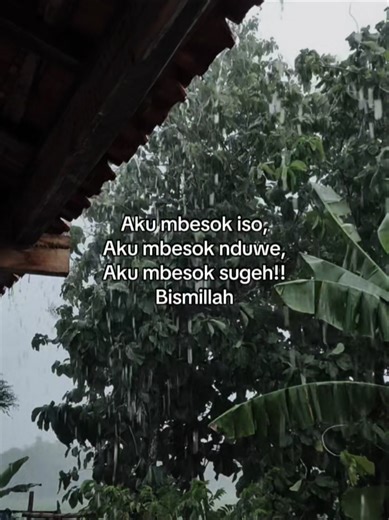 Blackjava.story (@blackjava.story)’s videos with suara asli - 𝙈𝙖𝙨𝙨 𝙖𝙙𝙞 - Marvelvino | Family Traveller