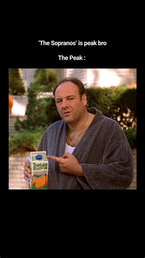 Mr. MT on Instagram: "It is said that during some scenes, James Gandolfini inserted a small stone in his shoe to anger him, making him play the role of Tony Soprano more authentically. He would also stay awake all night for some of the breakfast scenes, to achieve a tired look. James Gandolfini said that he was often contacted by real-life “wise guys,” complimenting him on the authenticity of the series, as well as giving him advice. GOAT SHOW OR NOT?"