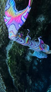 Some of the best treasures are found in the deepest waters ✨ Tail- custom by Mertailor Mermaid Tails By Eric Ducharme Top- MermaidMe by Kiki Von Mermaids Crown- #madebyme #dive #mermaidlife #treasures #livedeeply #underwaterworld #mermaidhair #mermaidtail #mertailor | Mer-Coral Dover