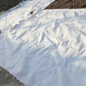 [Hot Item] Composite Geomembrane - Efficient Filtration for Filtration Engineering