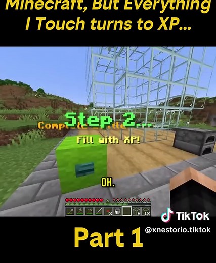 Minecraft: Everything I Touch Turns to XP