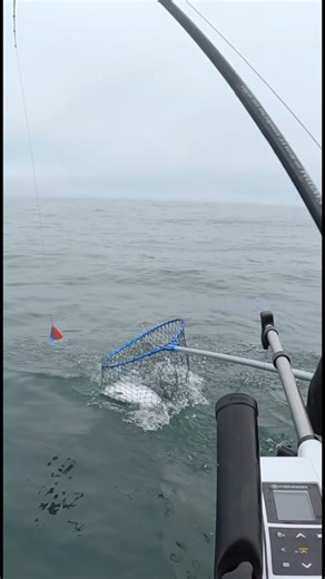 Fighting a 15 lb. Coho! Epic Battle! Oregon Coast Salmon Fishing #salmon #catchingfish #ocean #fish