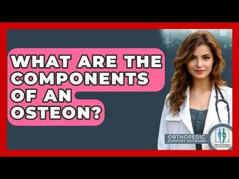 What Are The Components Of An Osteon? - Orthopedic Support Network