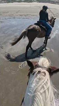 A minute of horses on the beach with no music 💜