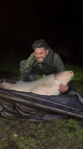 Monstercarp Madness for @vanacore.roberto !💥💪🎣 Well done mate!💥💪🎣 #nash #nashtackle #italy #carpworldonline #carpfishing #fishing #carppassion #carpworld #carp #viral #wtf #everyone #bigcarp #monstercarp #fish #nature #carp #bigfish #instacarp #carpvideography #bigcarpfishing #massivefish #fyp #angling #instacarpfishing #instafishing #worldwide #angling #carpe #carpoftheday #carpfishinglife #follow | Carpworld Online