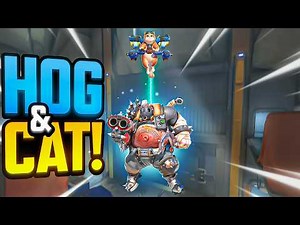Jetpack Cat and Hog is NOW HERE! | Overwatch