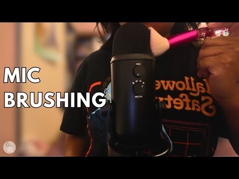 ASMR Makeup Brush Mic Brushing ✨ Ultimate Sleep Triggers (No Talking)