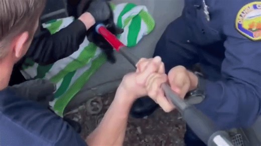 Firefighters Rescue Distressed Cat Stuck in Exhaust Vent