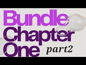 Bundle chapter 1 Acc 101 part2