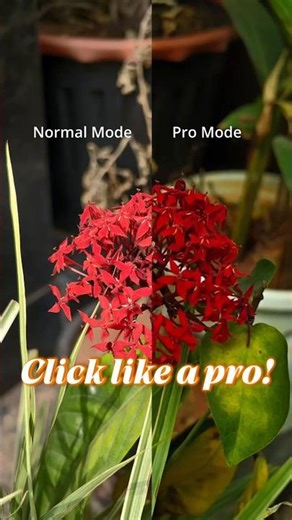 Camera Pro Mode Tutorial📸| Mobile Camera Tricks📱| Pro Mode #smartphonecameras #tipsandtricks