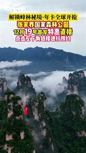 12月19日年卡首发 #阿凡达地球体验地#张家界国家森林公园畅游年卡
