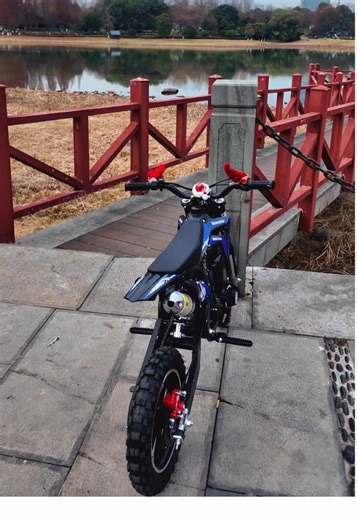 Tiny body, huge power! This kids’ off-road motorcycle is super tough. #SmallButMighty #KidsMotoPower #HardcoreFun 🔥