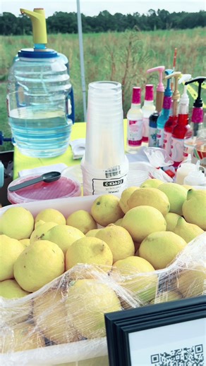 15 mile yard sale!! #yardsale #yardsalefinds #thrifting #thrift #vlogs