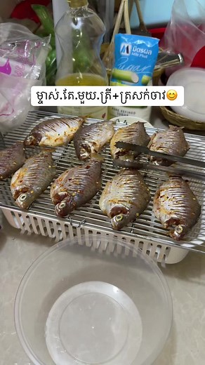 គណនីដែលបានណែនាំ