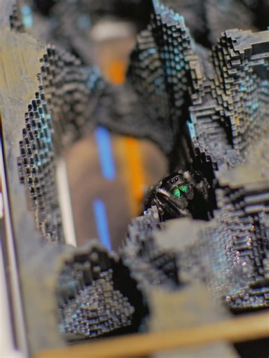 3D Printing Innovations: The Outrageous Possibilities